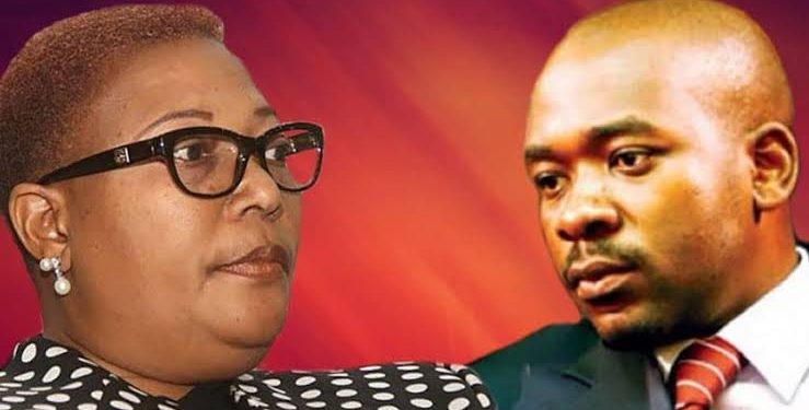 Khupe's MDC-T to contest as MDC Alliance in by-elections