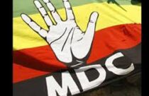 MDC Flag with logo