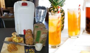 Pineapple Beer Recipe – How to brew pineapple beer at home