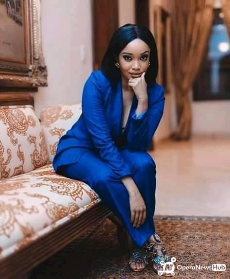 Dineo Langa Biography, Age, Career, Marriage, Controversy, Background