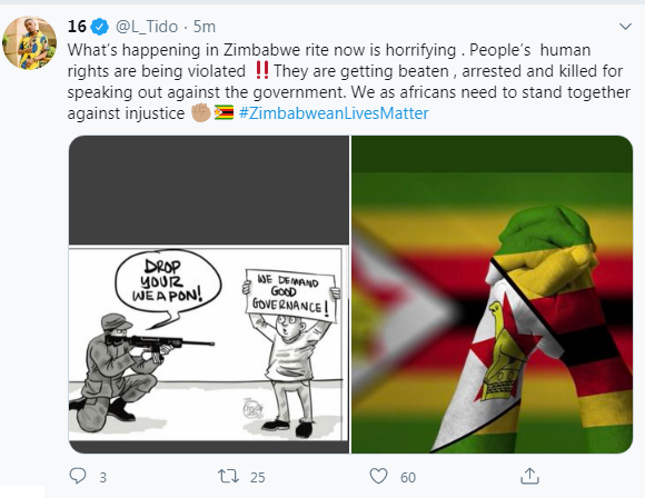 L tido Zimbabweans lives matter