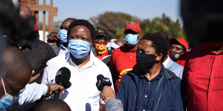Malema Ndlozi assault case