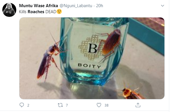 boity perfume kills roaches dead