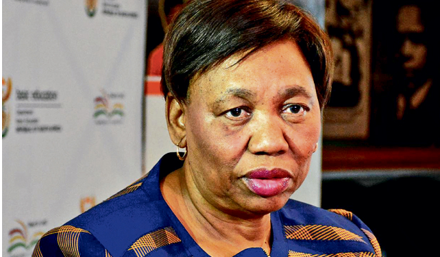 Angie Motshekga’s drug addict son vandalises her vehicles