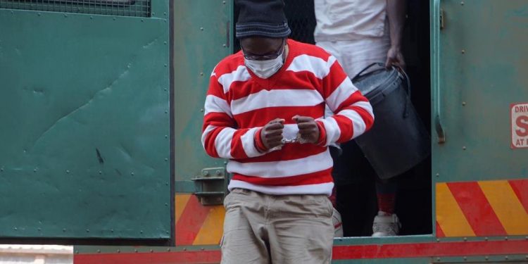 jacob ngarivhume granted bail