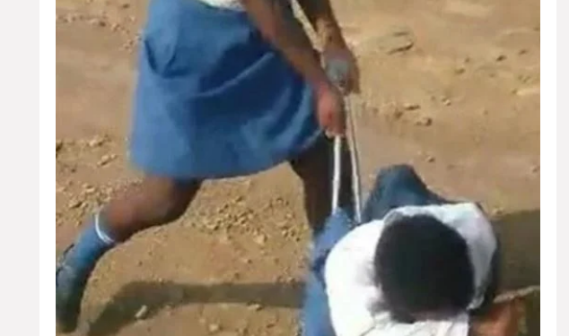 The pupil from Mathole High School in Mahlabathini northern KZN, who bullied another pupil, pulled and tore her panties was arrested yesterday.