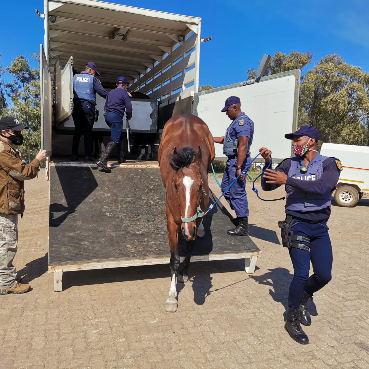 police assist property owner account for horses