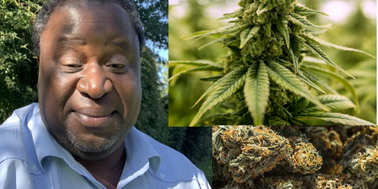 tito mboweni weed ganja