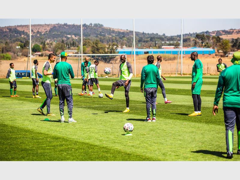 Meet Mamelodi Sundowns's ferocious goalkeepers