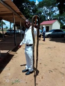 2.5 metre snake found in the Kitchen at Mvuma District Hospital
