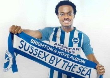 Lion-of-Judah-Arrives-Brighton-Hove-Albion-announces-Percy-Tau-in-style