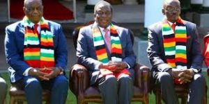 Panic as Covid-19 hit Zimbabwe presidium