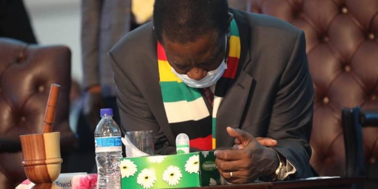 UAE Rulers condole with President Mnangagwa on death of his ministers, ambassador and sister