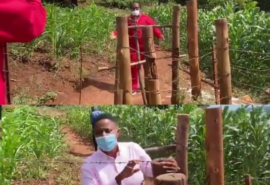 Video, Mzansi shocked by South Africa – Swaziland border gate