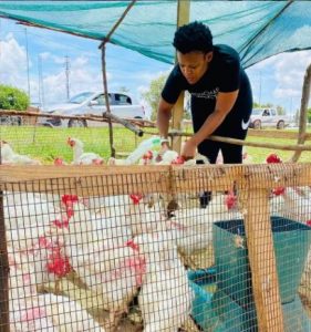 Zodwa Wabantu ventures into poultry