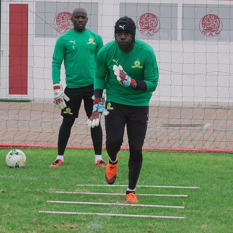 Meet Mamelodi Sundowns's ferocious goalkeepers