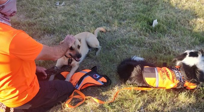 Cape Town emergency services finds four dead children in a hole