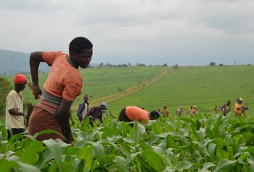 Banks in Zimbabwe pronounce 99-year leases valueless when acquiring loans