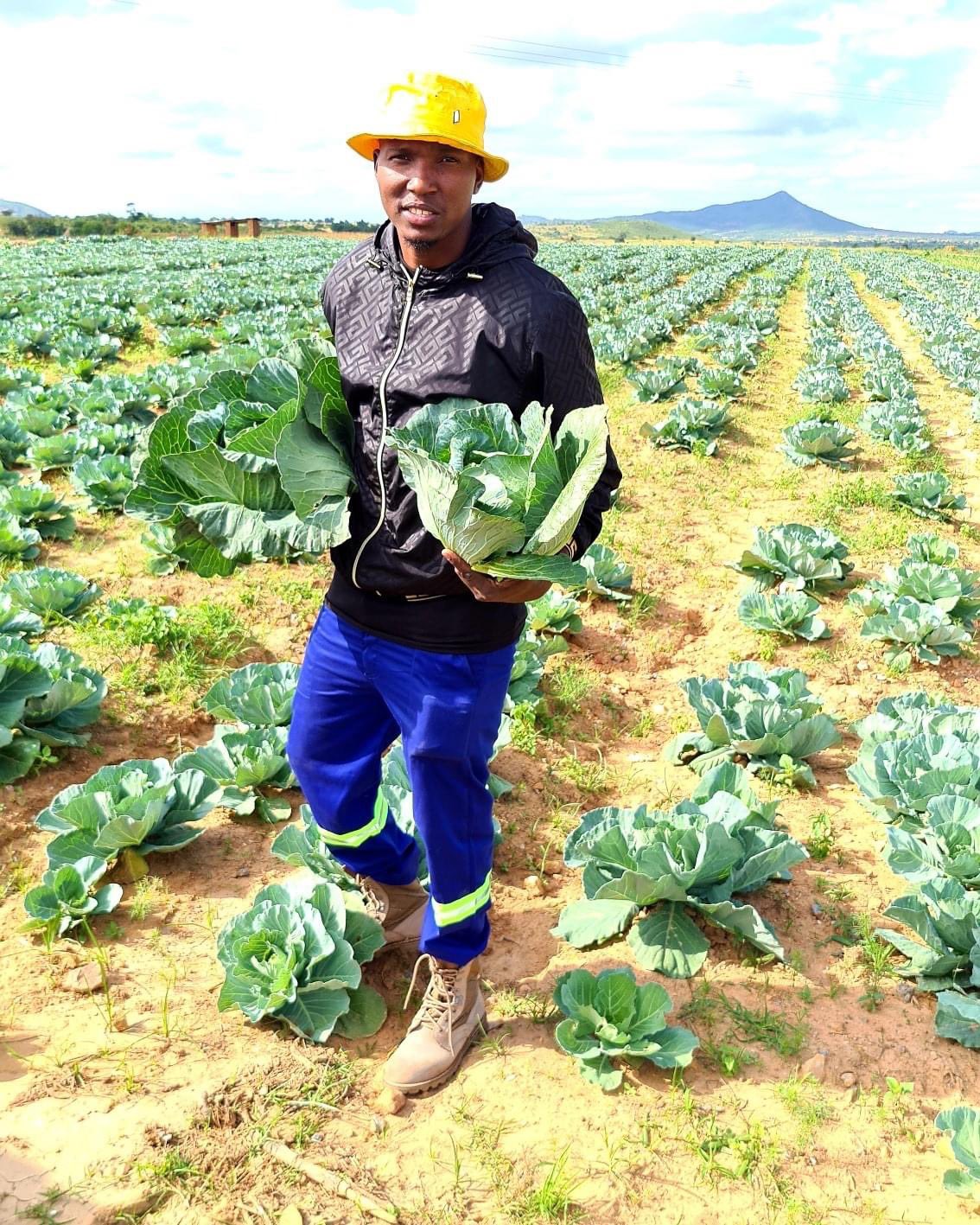 Famous Zimdancehall artist Freeman impresses his fans with pictures of him in a cabbage field