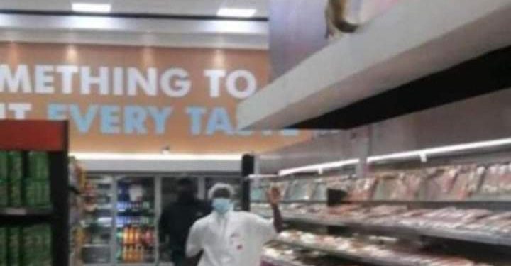 Pictures Shock as baboon steals king kurls in supermarket