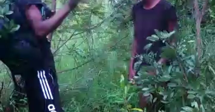 Video: Husband humiliates wife after catching her being intimate with his uncle