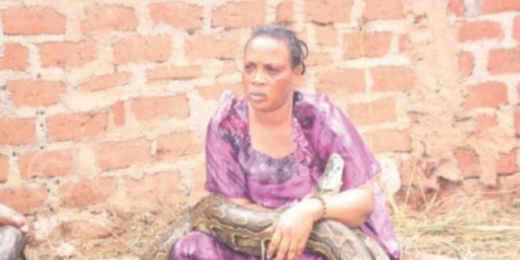 Woman from Chimanimani spotted breastfeeding a giant snake accused of witchcraft