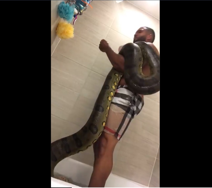 Video: Mpumalanga slay queen goes AWOL after leaking videos of blesser bathing with snake
