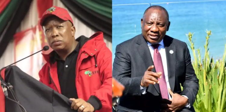 EFF Leader Malema: "We need a political solution to a political problem, not soldiers"