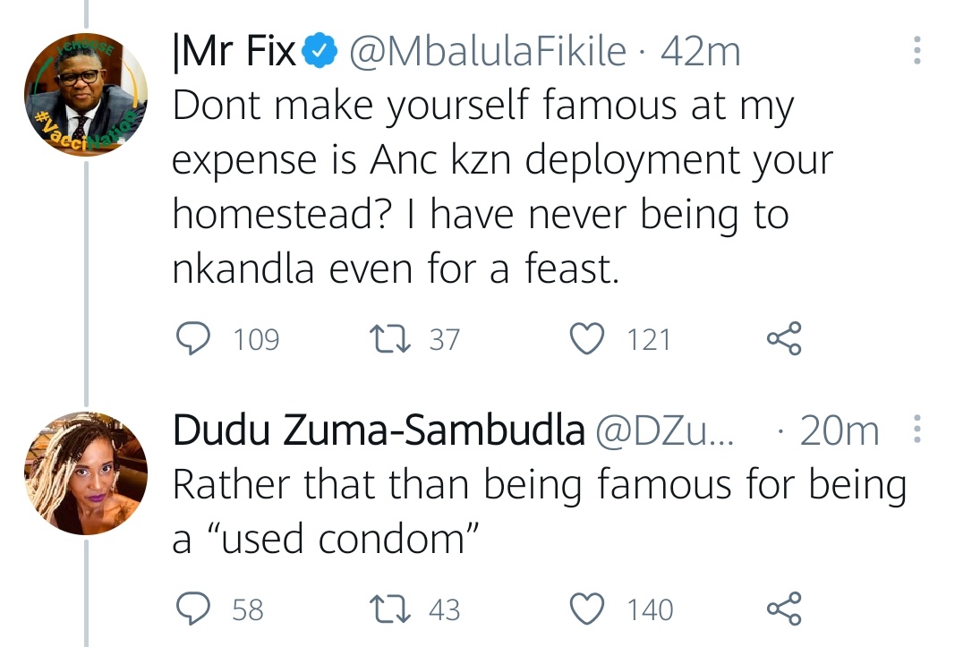 Drama as Dudu Zuma publicly calls Minister Fikile Mbalula a used condom
