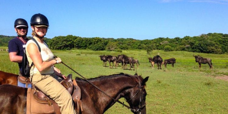 5 Fun Things to Do Around South Africa This Winter