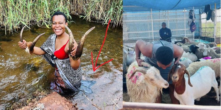 Zodwa Wabantu makes a mistake while performing rituals to talk to her ancestors