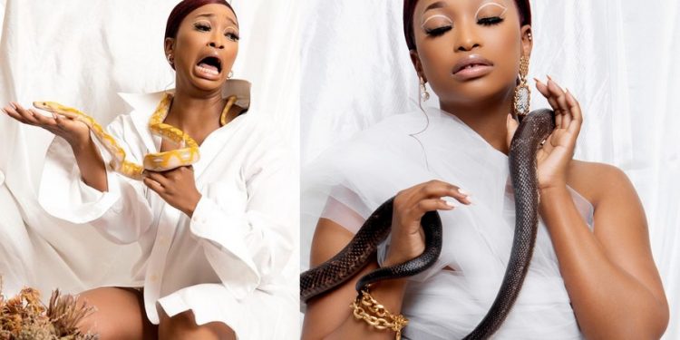 Zola Nombona snake pictures