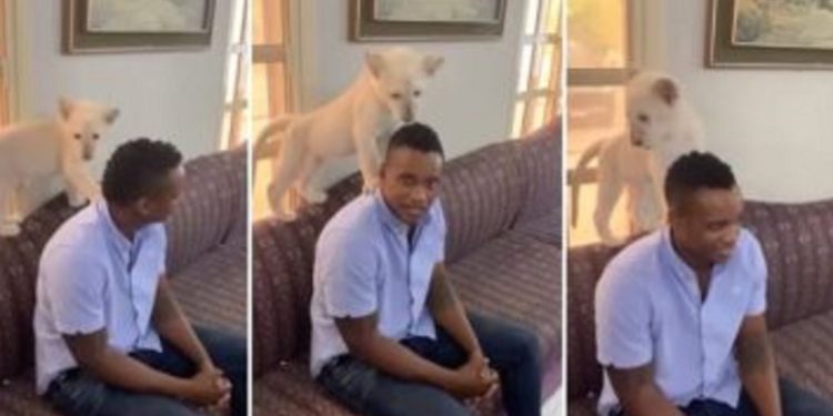 South African business mogul Duduzane Zuma - Source: Instagram