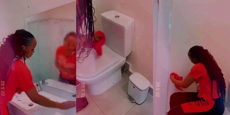 No place for lazy folks: Video of Sbahle Mpisane cleaning toilets of MamMkhize's mansion goes viral