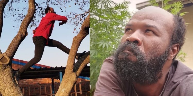 Gomora actor Bongani 'Thulani Mtsweni' risks falling from the tree to prove his fitness