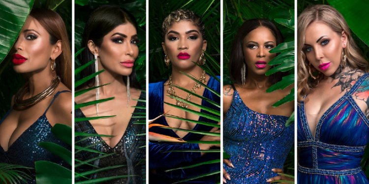 Real Housewives of Durban season 3