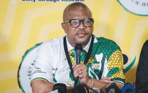 Fikile Mbalula
