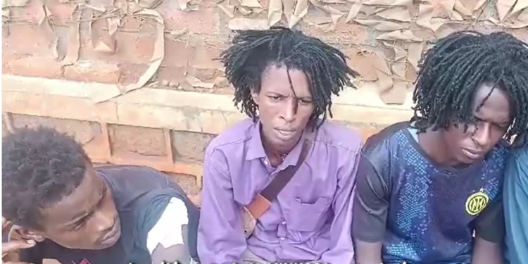  UN Mission in the Central African Republic sabotages disarmament programme