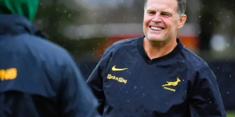 The Springboks have arrived in Auckland